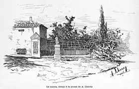クインタ(1894年)