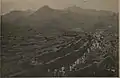 1894年