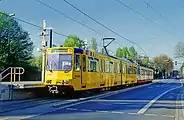 エッセン（B80C）