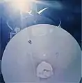 格納されたマゼラン