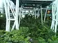底部に位置する庭園(Yakult Rainforest Discovery Garden)