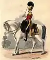 第1竜騎兵連隊(1st (Royal) Regiment of Dragoons)（通称：ロイヤル）(1839)。統合前のため（統合は1969年）、一般的な重騎兵部隊の制服である。この頃、ブリーチズに代わってトラウザーズ（長ズボン）が着用されるようになった。