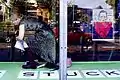 ロンドンのブリクストンにあるギャラリー、フリッジ。ステラ・ヴァインがウィンドウ・ディスプレイを手伝っている（2001年）