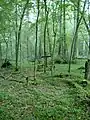 森の礼拝所