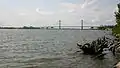 橋全景