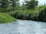 万水川