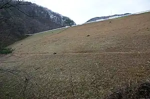 大笹生ダム(八反田川)
