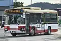 秋北バスオリジナルカラー2008年末に創業65周年を記念し、この旧塗色を復刻した車両を約10年ぶりに2台導入した。現在、元事業者で国際興業カラーを纏っていた車両以外は、このオリジナルカラーに塗られている。日野PKG-KV234L2