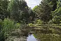 ベルクガルテンの池