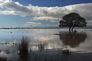 ヴィストニダ湖