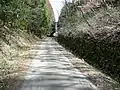 片俣地内の旧線路跡と玉石積み上げによる切通し。(撮影場所)