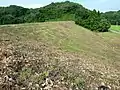 高柴調整池堤体