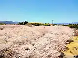 忠元公園(鹿児島県伊佐市)