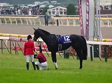 臨席した天皇明仁（当時）に対しエイシンフラッシュから下馬して跪礼するミルコ・デムーロ