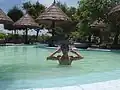 温泉プールでは水着の着用が義務付けられている。