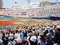 高校野球応援風景（2014.07.27県相VS横浜高校）