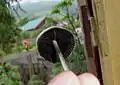 ひだ。
