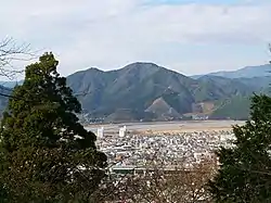 賤機山から見た安倍城（中央の山）
