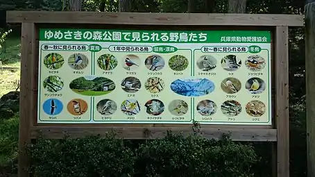 ゆめさきの森公園で見られる野鳥の種類