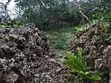 珊瑚の石垣に囲まれた城跡。