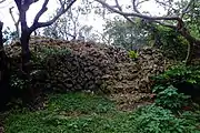 野積みの珊瑚性石灰岩で造られた城壁。