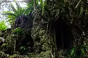 珊瑚の岩礁と植物に覆われた城跡。