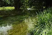 蓼川と万水川合流点（手前が蓼川）。