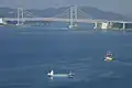 福良湾から見る大鳴門橋