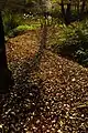 あゆみの森への周遊路