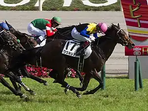 4番人気 ワグネリアン(第85回東京優駿(日本ダービー)