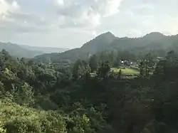 馬場坪街道黄絲村付近の田園風景