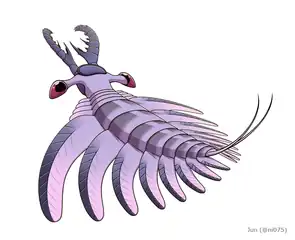 1対の尾毛をもつライララパクス