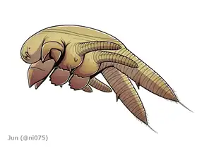 カンブリア紀のウミグモ Cambropycnogon は既知最古の鋏角類の1つである。