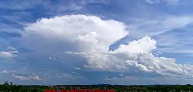 平原のかなとこ雲