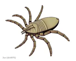 ムカシザトウムシ目(Mesotarbus peteri)