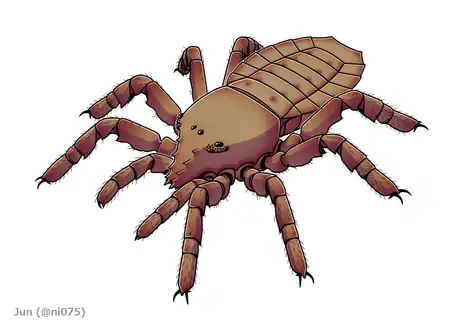 ワレイタムシ目(パレオカリヌス Palaeocharinus rhyniensis)