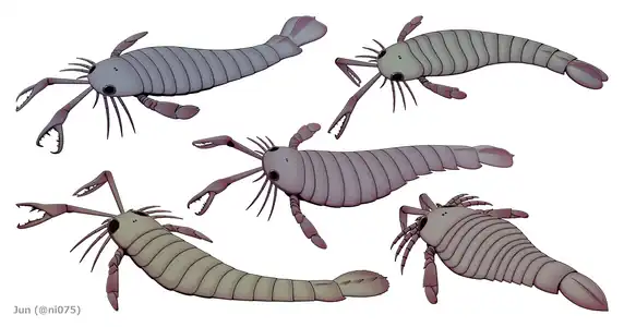 ダイオウウミサソリ科のウミサソリ