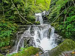 寒沢の流れ