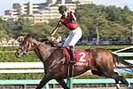 産経賞オールカマー