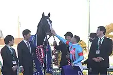 有馬記念優勝後、口取り式にてイクイノックスに触れるC.ルメール騎手