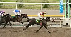 第20回かしわ記念(2008年5月5日)ボンネビルレコード優勝