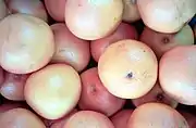 収穫された実のかずかず