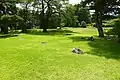 中島の本堂跡