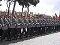 パレードに参加するドイツ連邦軍衛兵大隊の陸軍兵士（2007年）