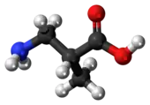 Ball-and-stick model of the 3-aminoisobutyric acid molecule{{{画像alt1}}}