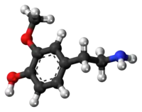 Ball-and-stick model of the 3-methoxytyramine molecule{{{画像alt1}}}