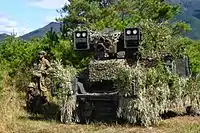 偽装網や雑草によるカモフラージュ