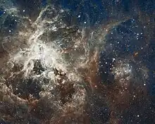 ハッブル宇宙望遠鏡によるR136の星形成領域の全景