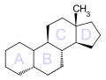 5β-エストラン