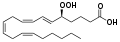 HPETE